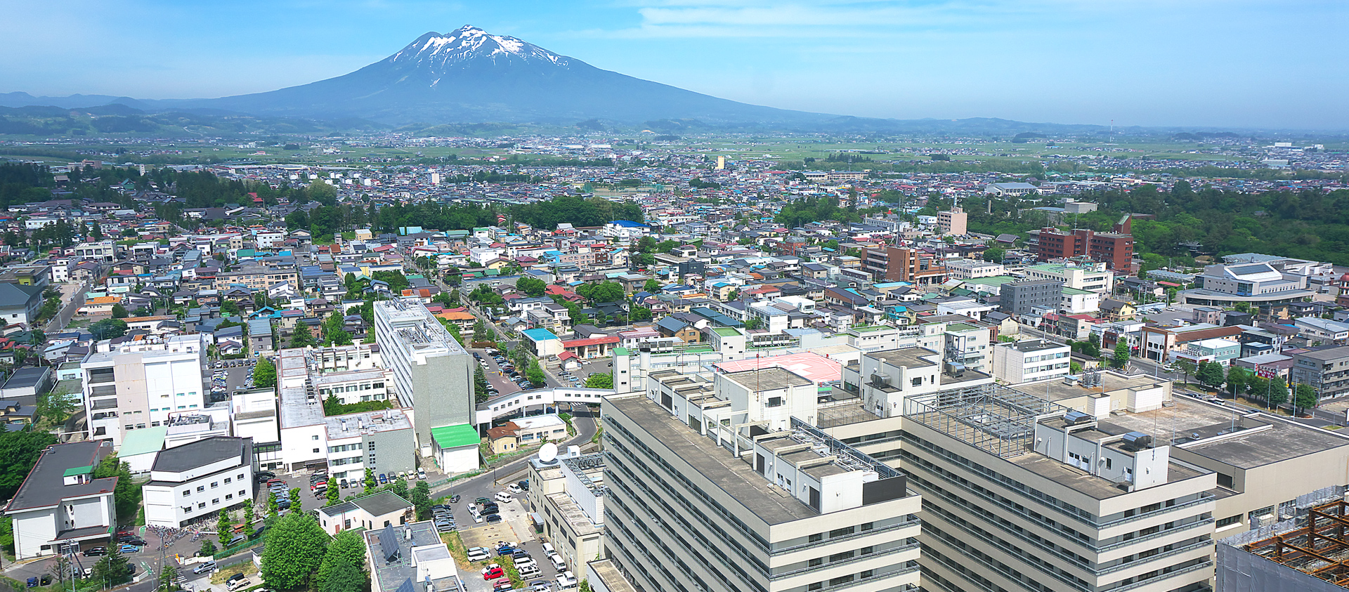 Department of Orthopaedic Surgery,Hirosaki University Graduate School of Medicine