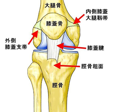 スポーツ整形外科グループ