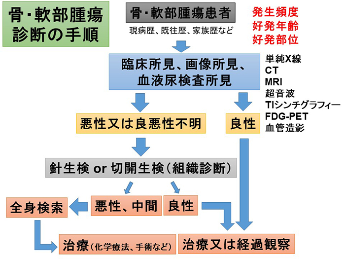 骨・軟部腫瘍グループ