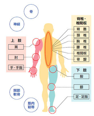 整形外科医を目指そう！！